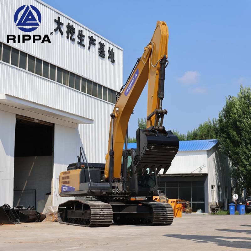RIPPA R230