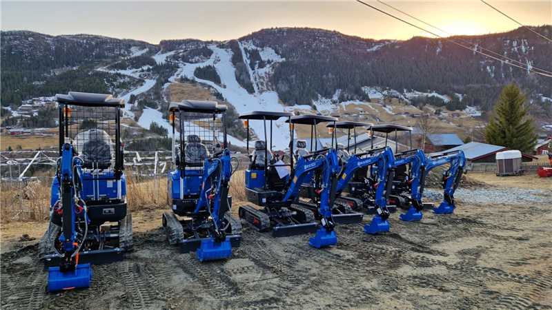 Rippa Excavator